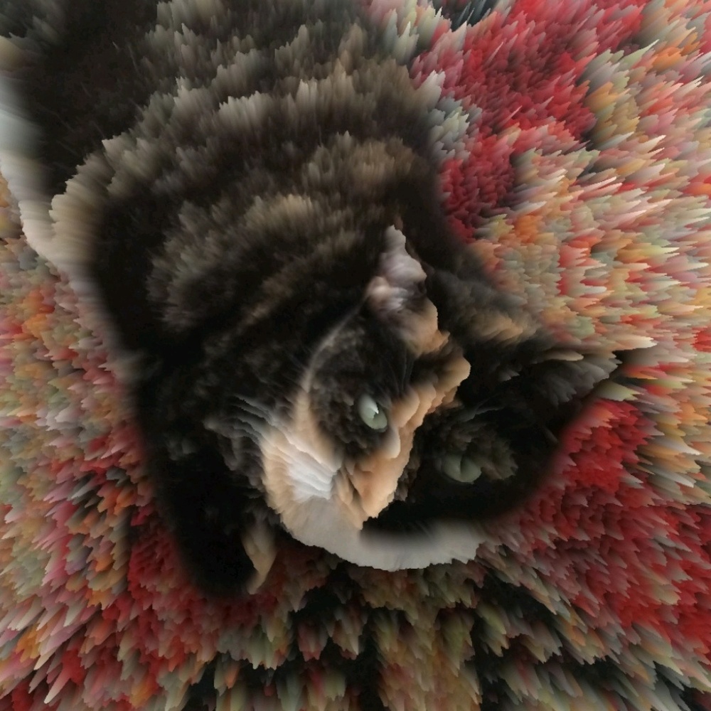 Meet your Posher, Sabrina